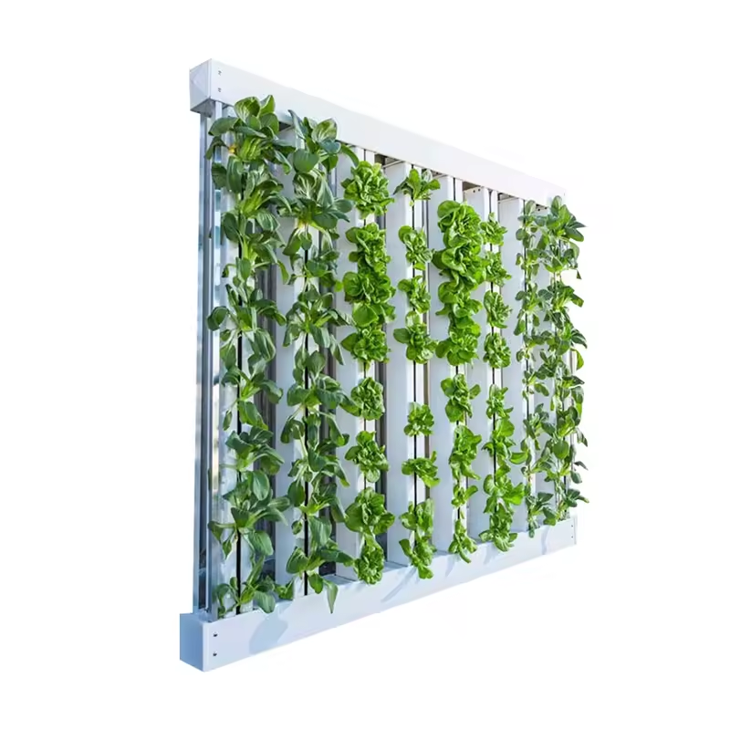 Hydroponic Nft Channel - PVC Pipe Agricultural Greenhouse Vegetables Planting