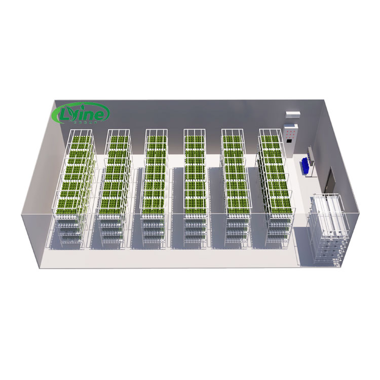 Hydroponic Farming Agriculture - Agricultural Greenhouses Lettuce Nft Hydroponics System