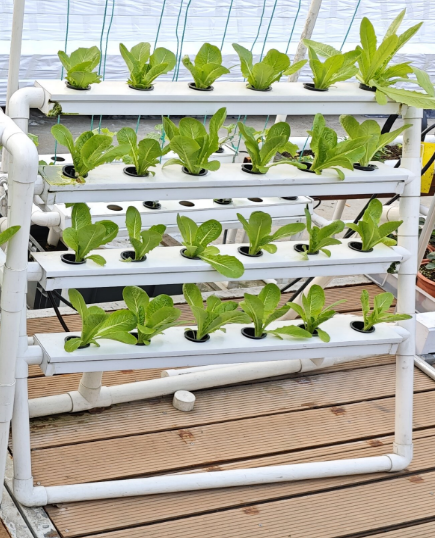 MINI 24 Holes Vertical Hydropo - đánh giá và giá Hydroponic Nft Channel