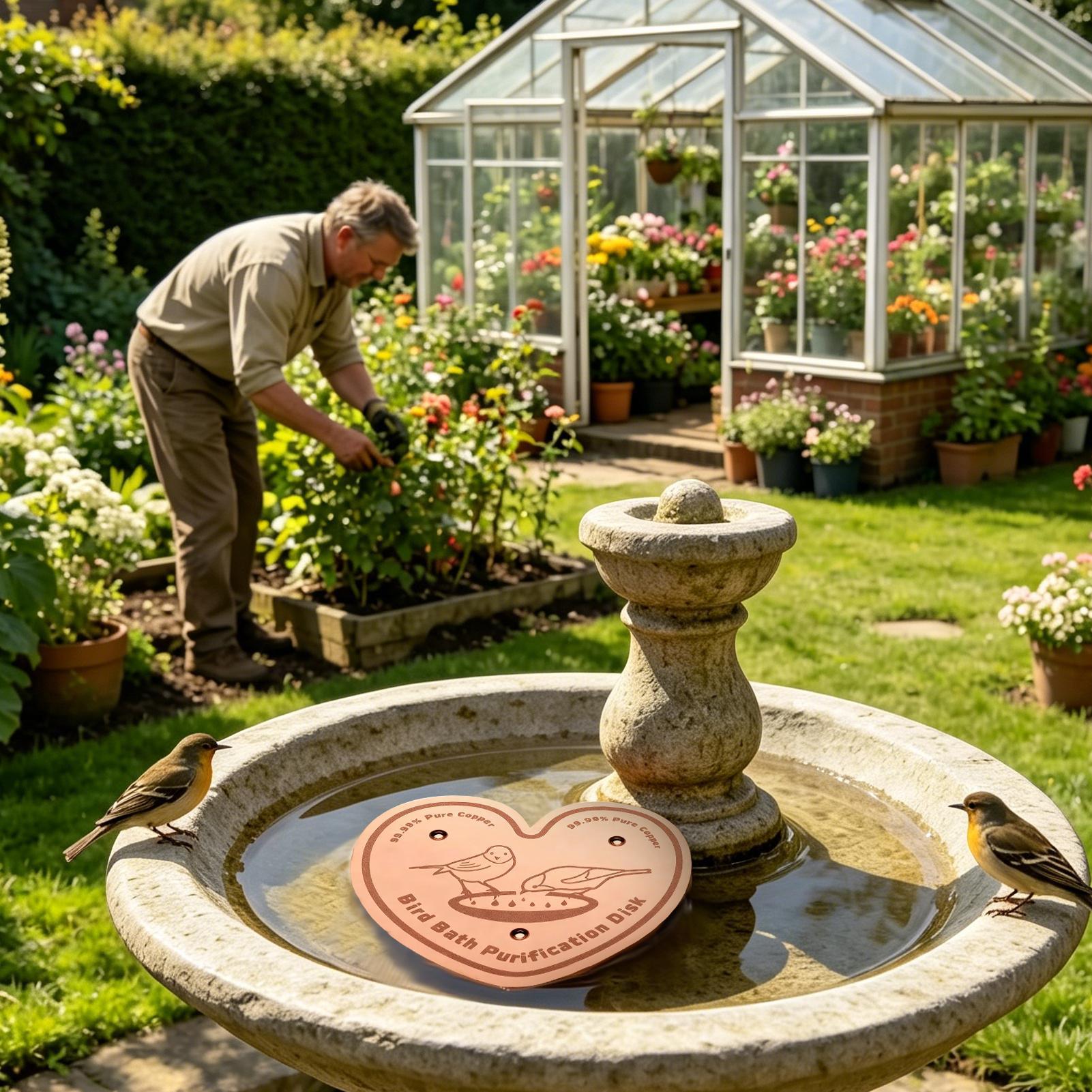 Bird Bath Cleaner Disc Solid M - đánh giá và giá Farming A
