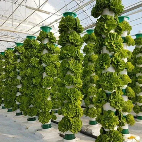 Agricultural greenhouses verti - đánh giá và giá Hydroponic Farming Agriculture