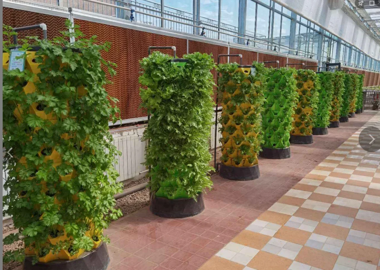 Agricultural greenhouses verti - đánh giá và giá Hydroponic Farming Agriculture