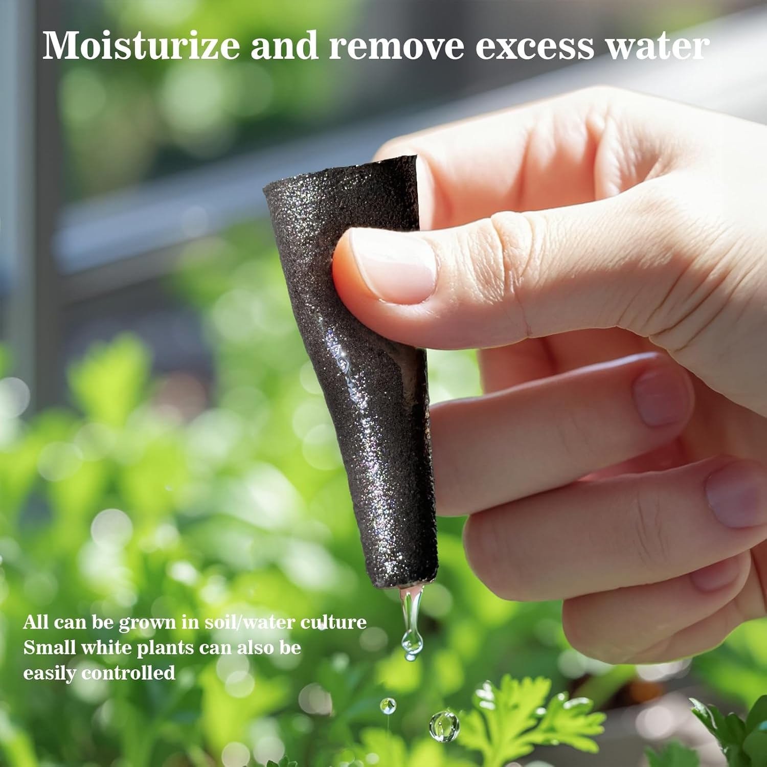 Seed Starter Sponge Pods, Root - đánh giá và giá Hydroponic Nft Channel