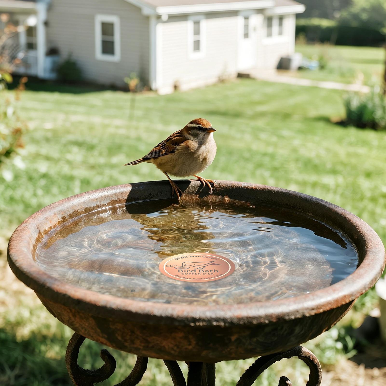 Bird Bath Copper Disk 0.6mm Th - đánh giá và giá Farming A