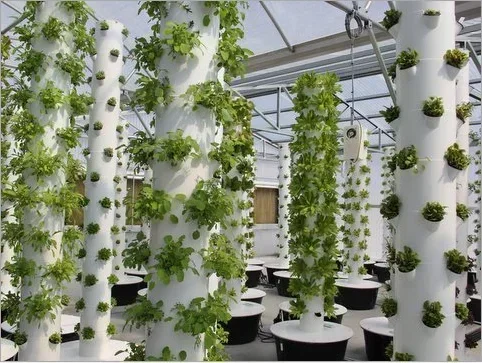 High quality agricultural home - đánh giá và giá Hydroponic Farming Agriculture