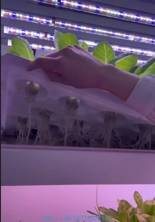 f Greenhouse Agricultural Equi - đánh giá và giá Hydroponic Farming Agriculture