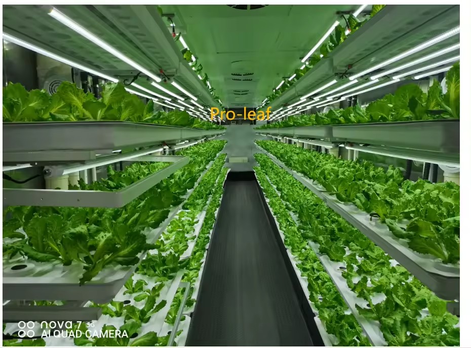 f Greenhouse Agricultural Equi - đánh giá và giá Hydroponic Farming Agriculture