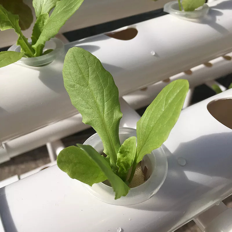 Factory Direct 3-layer Vertica - đánh giá và giá Hydroponic Nft Channel