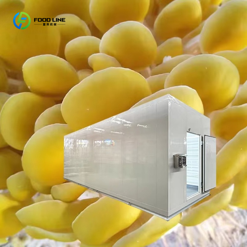 Smart Mushroom Growing Capsule - đánh giá và giá Agriculture Farming New Technology