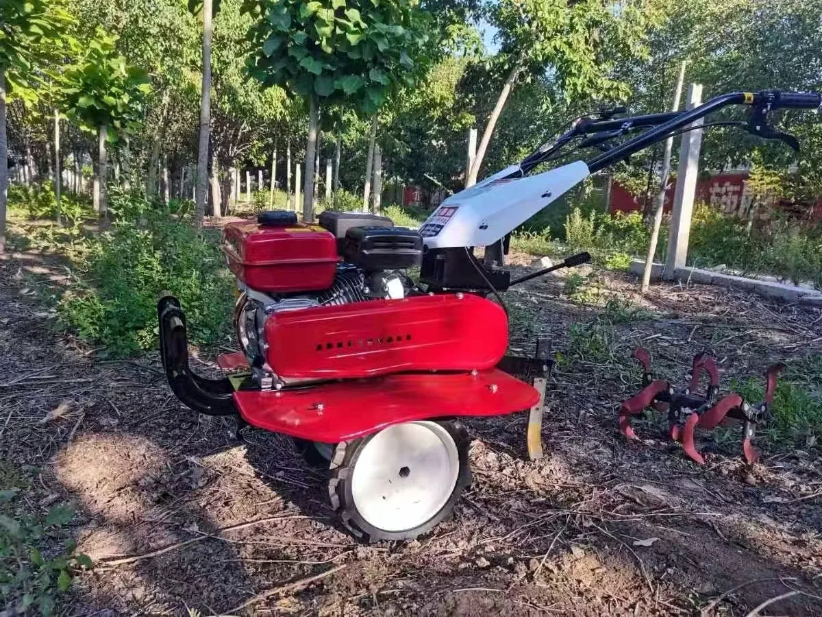 Hot Sale Best Tiller   Agricul - đánh giá và giá Organic Farming In Agriculture