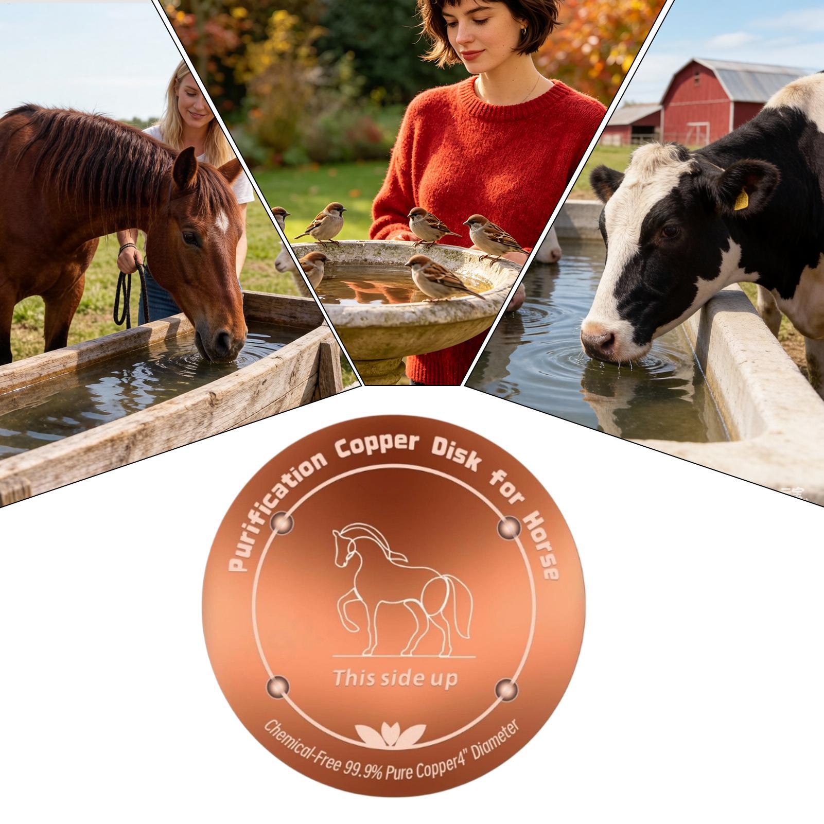 4 Inch Copper Purifier Cow Wat - đánh giá và giá Farming A