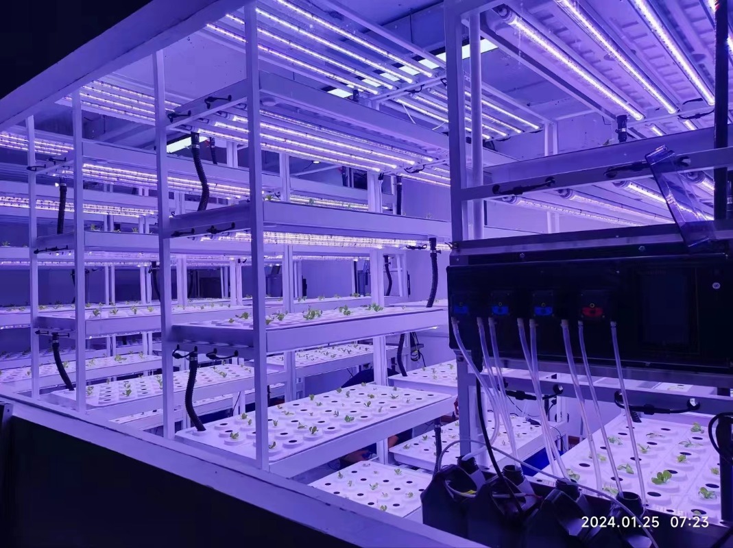 Small Vertical Hydroponic Towe - đánh giá và giá Hydroponic Farming Agriculture