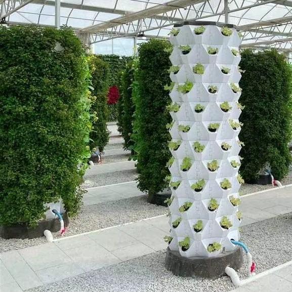 Upgraded Indoor Farming Outdoo - đánh giá và giá Hydroponic Farming Agriculture