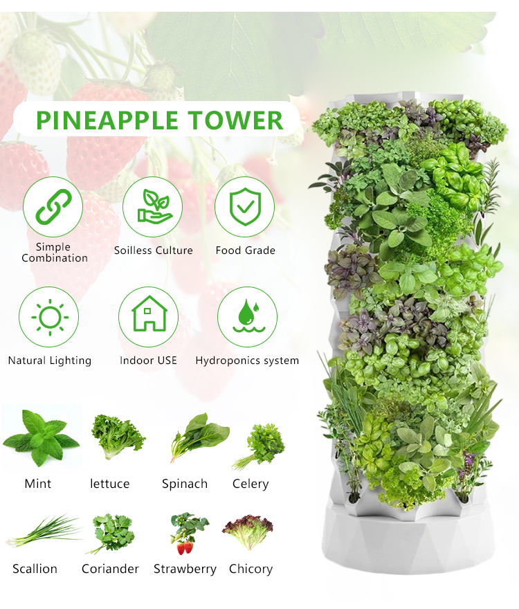 Upgraded Indoor Farming Outdoo - đánh giá và giá Hydroponic Farming Agriculture
