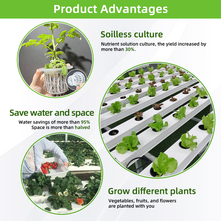 Nft Hydroponics PVC Channel Ir - đánh giá và giá Hydroponic Nft Channel