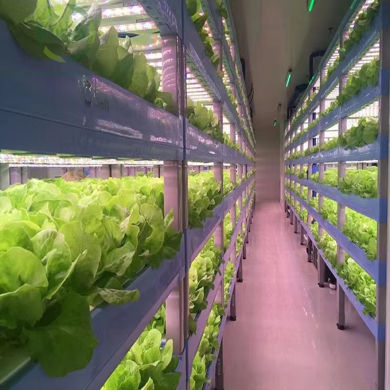 Custom Agricultural Greenhouse - đánh giá và giá Hydroponic Farming Agriculture