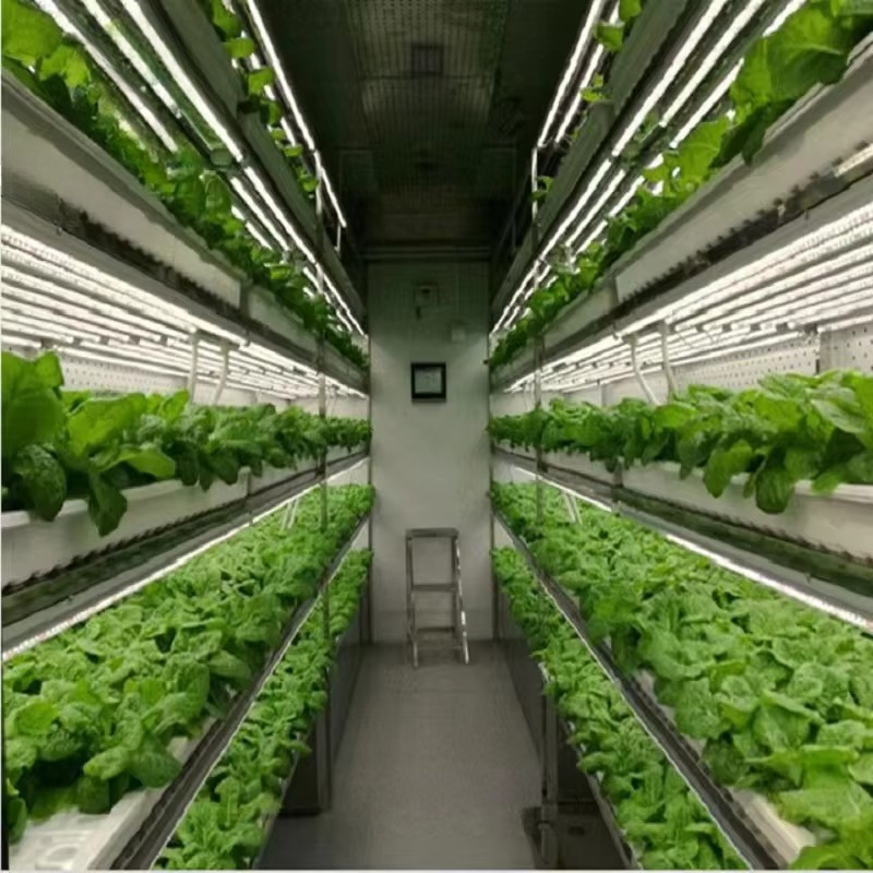 Custom Agricultural Greenhouse - đánh giá và giá Hydroponic Farming Agriculture