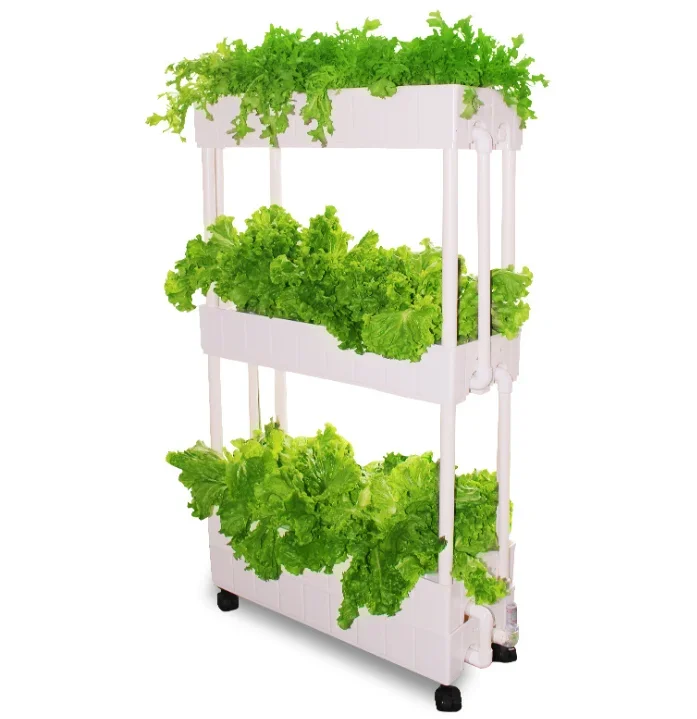 Customization Agriculture hydr - đánh giá và giá Hydroponic Farming Agriculture