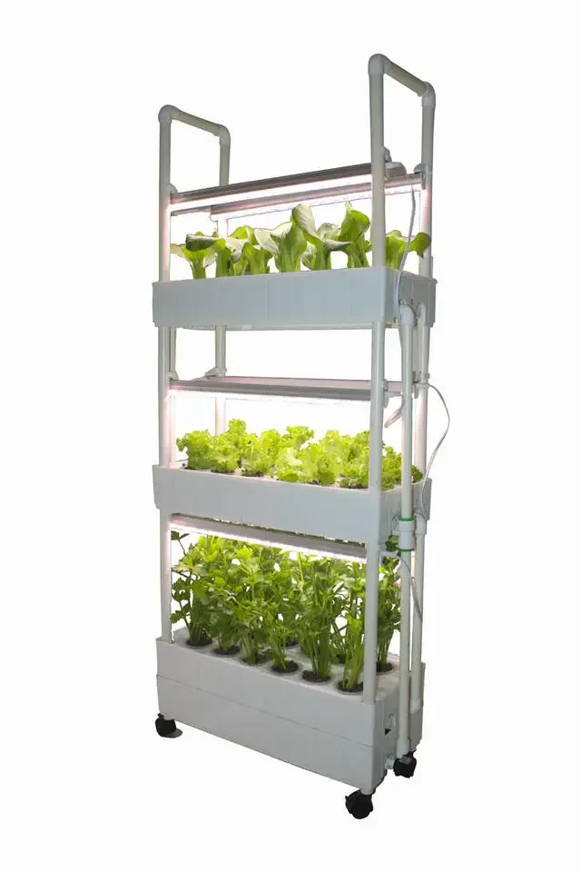 Customization Agriculture hydr - đánh giá và giá Hydroponic Farming Agriculture