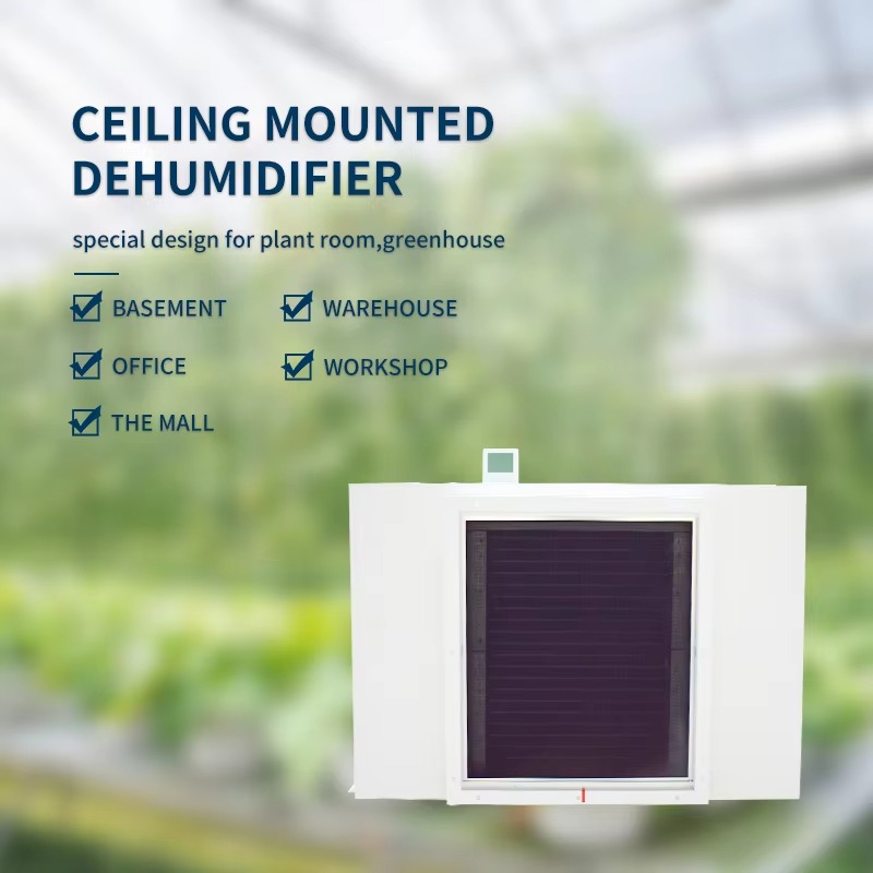 Large 480L Air Dehumidifier fo - đánh giá và giá Farming A