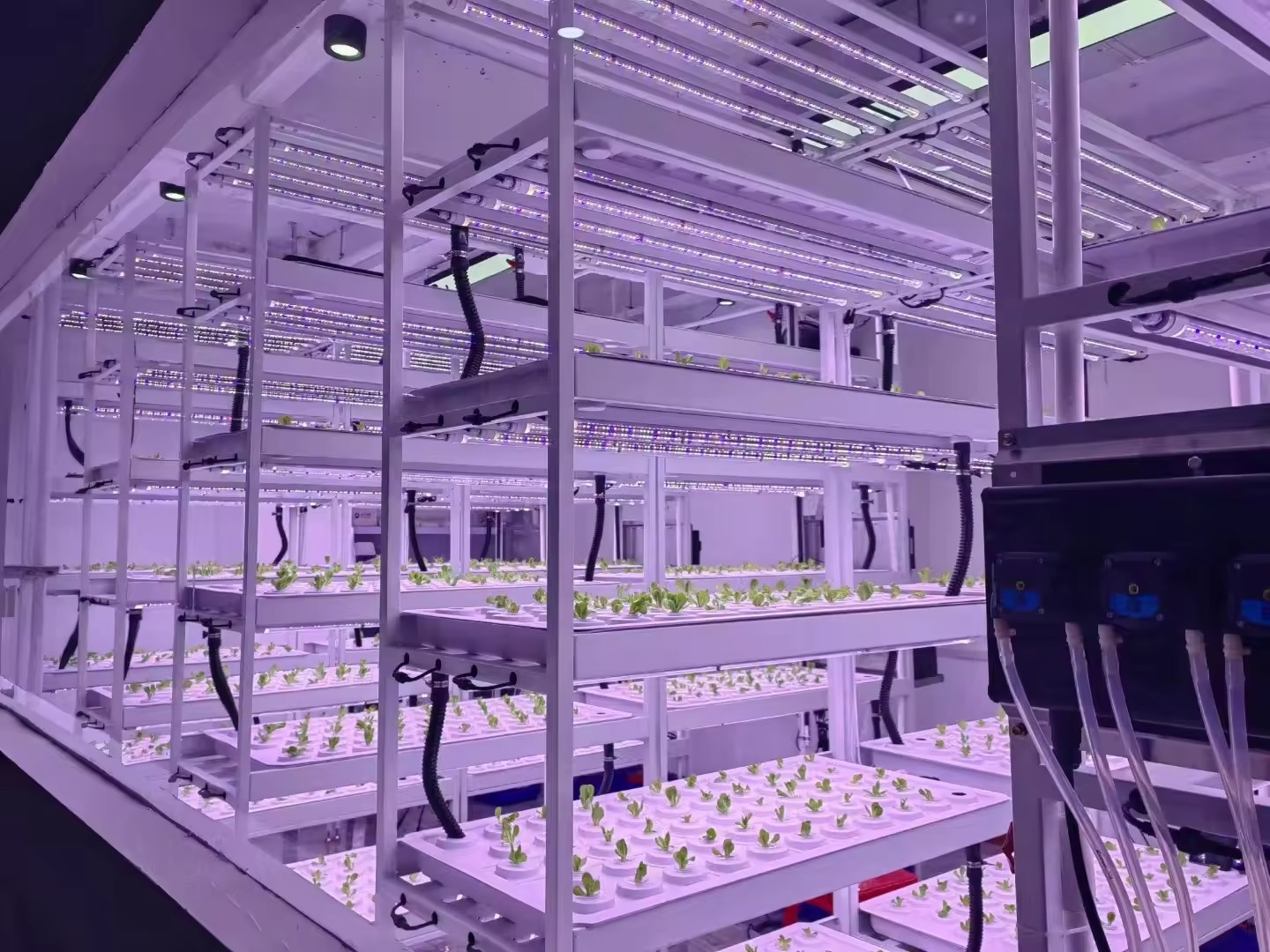 Vertical Farm Hydroponic Tower - đánh giá và giá Hydroponic Farming Agriculture