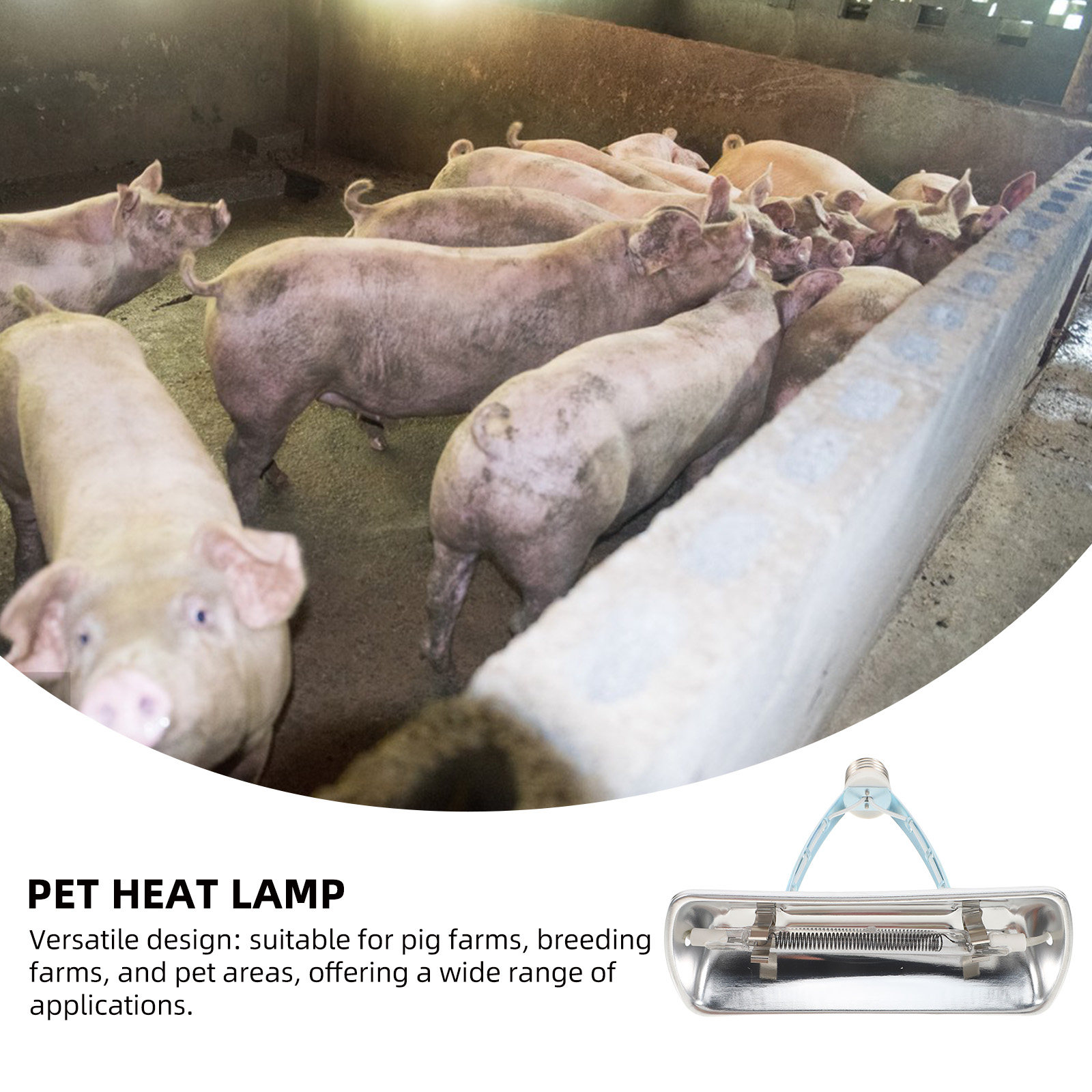 Pig Farm Preservation Lamp Chi - đánh giá và giá Farming A