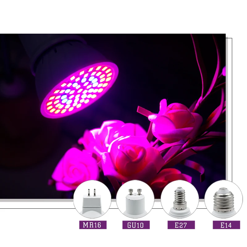 Full Spectrum LED Grow Light E - đánh giá và giá Hydroponic Nft Channel